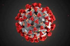 Американские учёные создали необычную вакцину от коронавируса