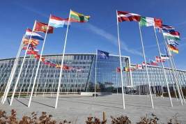 Anadolu: Швеция и Финляндия не выполнили обязательства по членству в НАТО