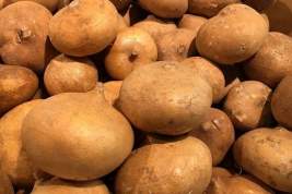 Армянские фермеры обвинили Белоруссию в подделке картофельных семян
