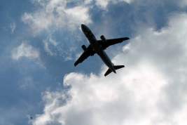 Авиалайнер экстренно приземлился в Сочи из-за нападения пьяного пассажира на стюардессу