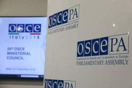 Австрия выдаст россиянам визы для участия в сессии ПА ОБСЕ