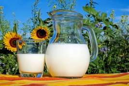 Бактерии в пастеризованном молоке «Свежее завтра» и недолив в пачке «Летний луг»: какие ещё секреты таит этот продукт?