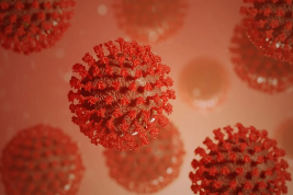 Биолог не исключила появления новых штаммов коронавируса в России