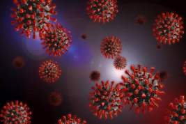 Биолог описала версию о лабораторном происхождении коронавируса