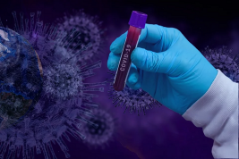 Bloomberg сообщил об исчезновении сведений о первом варианте коронавируса