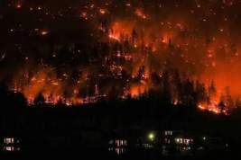Более 35 тысяч человек эвакуированы в Канаде из-за лесных пожаров