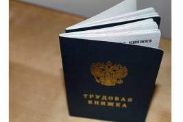 Больше половины работающих россиян отказались от электронных трудовых книжек