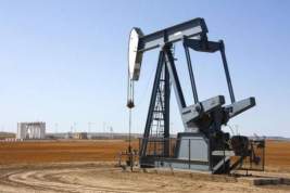 Цены на нефть Brent выросли до уровня января 2020 года