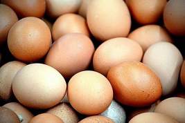 Цены на яйца стремительно растут