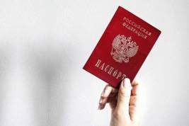 Чернышенко: цифровой паспорт будет иметь чип с высоким уровнем криптографии