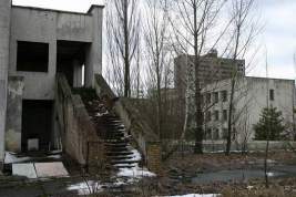 Черви в Чернобыле оказались невосприимчивы к радиации