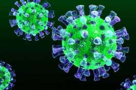 Число заболевших коронавирусом в России перешагнуло за сотню