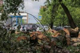 Число жертв разрушительного урагана в Свердловской области увеличилось до четырех