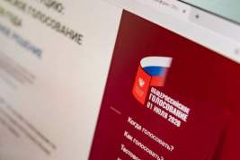 Член ОП: Многоступенчатая система контроля гарантирует легитимность голосования в Москве