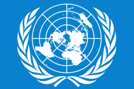 Члены Совбеза ООН отклонили российскую резолюцию по Сирии