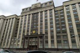 Депутаты Госдумы приняли закон о запрете рекламы на ресурсах иноагентов