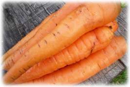 Дети любят морковку ещё до рождения
