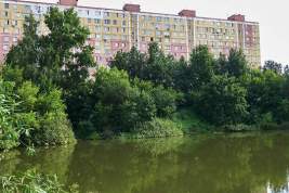 Долгожданный проект – Малый Тарычевский пруд в Видном очистят и благоустроят его окрестности