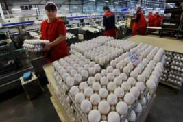 Должна ли «Русско-Высоцкая птицефабрика» обеспечивать россиян курятиной и яйцами, или проще от нее избавиться