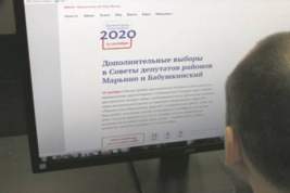 Довыборы в Москве пройдут согласно новейшим электоральным трендам