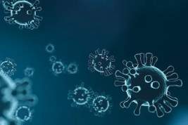 Гинцбург: «омикрон» не станет заключительным штаммом коронавируса