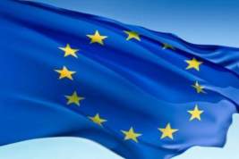 Глава МИД Ирландии стал новым спецпредставителем ЕС по правам человека