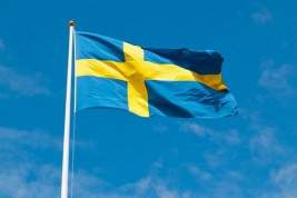 Глава МИД Швеции назвал победой Владимира Путина затягивание вступления Стокгольма в НАТО