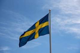 Глава МИД Швеции: страна пока не приняла решение о вступлении в НАТО