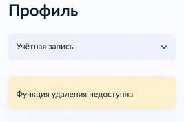 Глава Минцифры Шадаев ответил связавшим отключение функции удаления аккаунта на «Госуслугах» со слухами о мобилизации