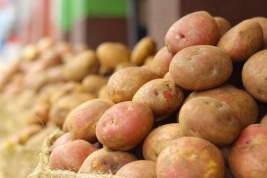 Глава Минобороны Эстонии Певкур: в мирное время в бункерах на границе в Россией будут хранить картофель