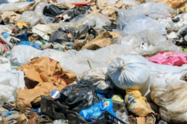 Глава Минприроды Козлов: мусорные свалки в России проверят на степень опасности