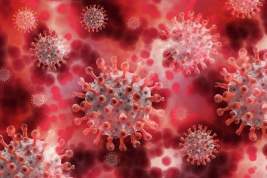 Глава Минздрава сообщил, когда в РФ начнется массовая вакцинация от коронавируса