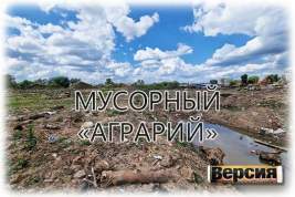 Глава подмосковного Пушкино Максим Красноцветов не видит свалки в селе Тарасовка, а она продолжает расти