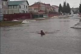 Глава затопленного села на Алтае захотел привлечь внимание к бездействию властей и устроил заплыв по улице