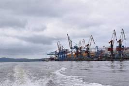 Главу Fesco закидали касками митингующие работники порта во Владивостоке