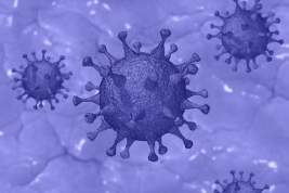 Главврач больницы в Коммунарке рассказал о третьей волне коронавируса