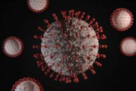 Голикова объявила дату начала массовой вакцинации против коронавируса