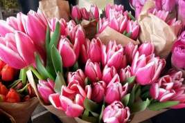 Голландские тюльпаны исчезнут из российских магазинов