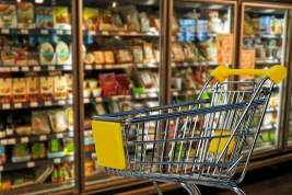 Госдума рассмотрит законопроект о сертификатах на продукты для малообеспеченных