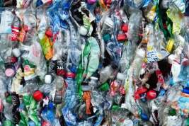 Greenpeace назвал главный вид отходов в России