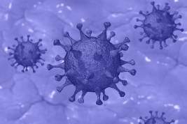 Инфекционист допустил вытеснение «дельта»-варианта коронавируса штаммом «омикрон»