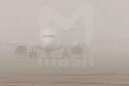 Из-за тумана в Москве массово отменяют и задерживают авиарейсы