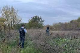 К убийству 12-летней девочки в Ростовской области может быть причастен ее ровесник