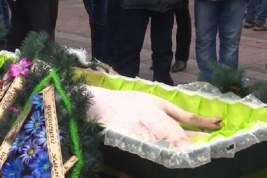 К зданию Верховной Рады в Киеве принесли мёртвую свинью в гробу