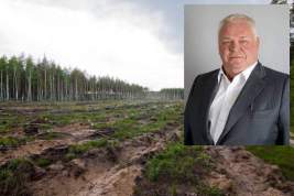 Как депутат Дамир Шадаев лес рубил, и какой козырь в рукаве прячет следствие