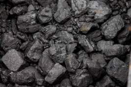 Канцлер ФРГ заявил о прекращении Евросоюзом поставок угля из России летом