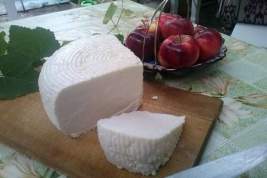 Кишечная палочка в сыре «Предгорье Кавказа», дрожжи в сыре «Адыгейского молзавода» и плохое молоко в «Гиагинских сырах»