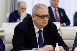 Константин Цицин назначен на пост главы Фонда развития территорий