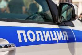 Красноярские полицейские разыскивают женщину, избившую малолетнюю девочку в лифте