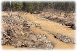 Красноярские золотодобытчики продолжают загрязнять малые реки края